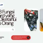 Inilah 8 Fungsi Lanyard yang Perlu Diketahui Setiap Orang