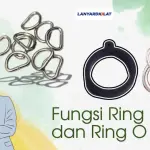 Kenali Perbedaan Ring D dan Ring O dalam Lanyard, Lengkap!