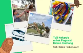 Mengetahui Harga Tali Kokarde untuk Pegawai Kebun Binatang